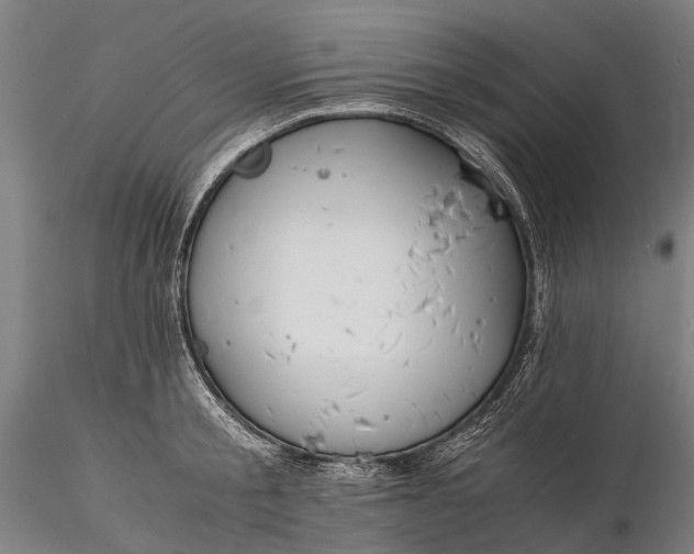 X0000116390805200912161523