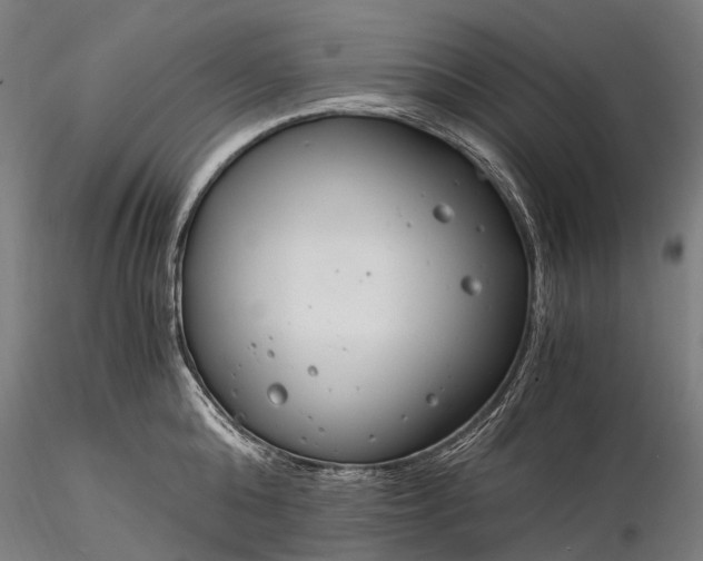 X0000116390808200912161523