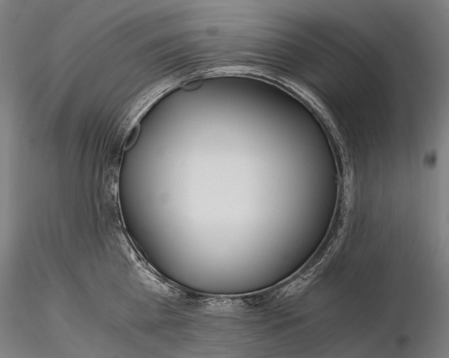 X0000116390809200912161523