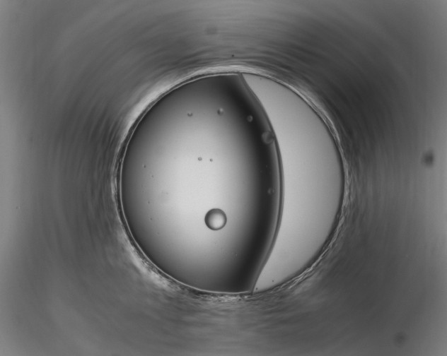 X0000116390813200912161523