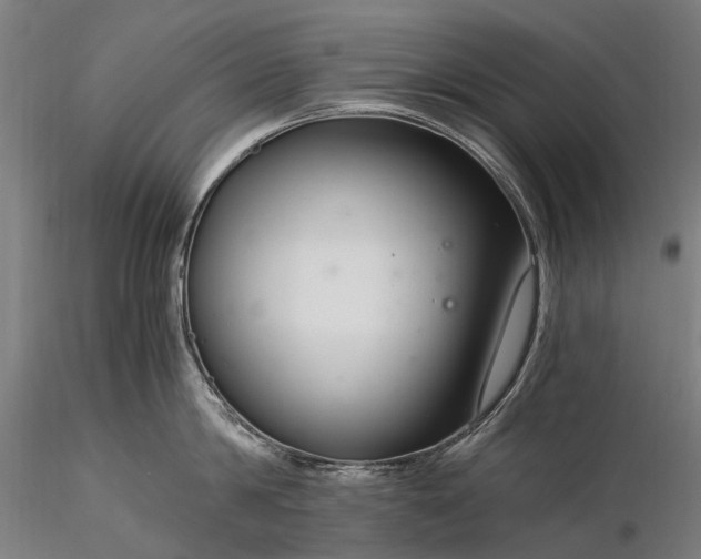 X0000116390814200912161523