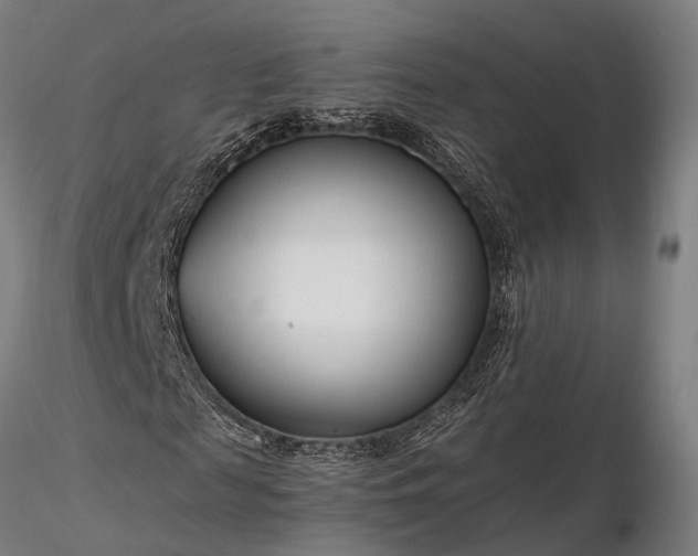 X0000116390817200912161522