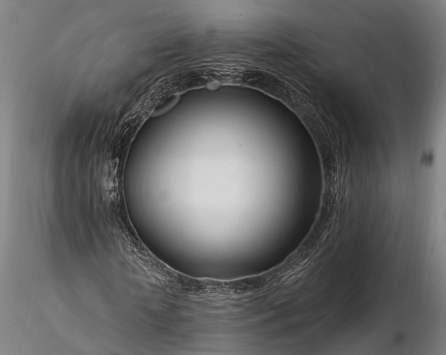 X0000116390818200912161522