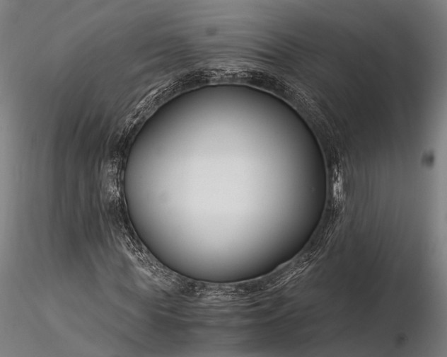 X0000116390819200912161522