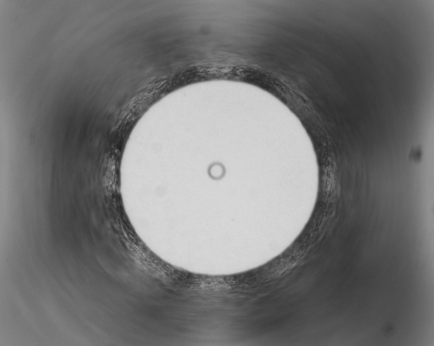 X0000116390820200912161522