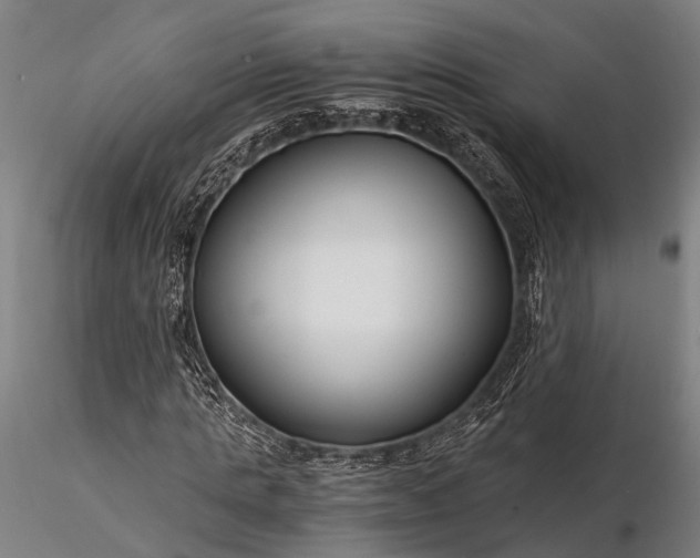 X0000116390821200912161522