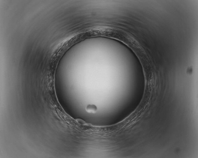 X0000116390822200912161522