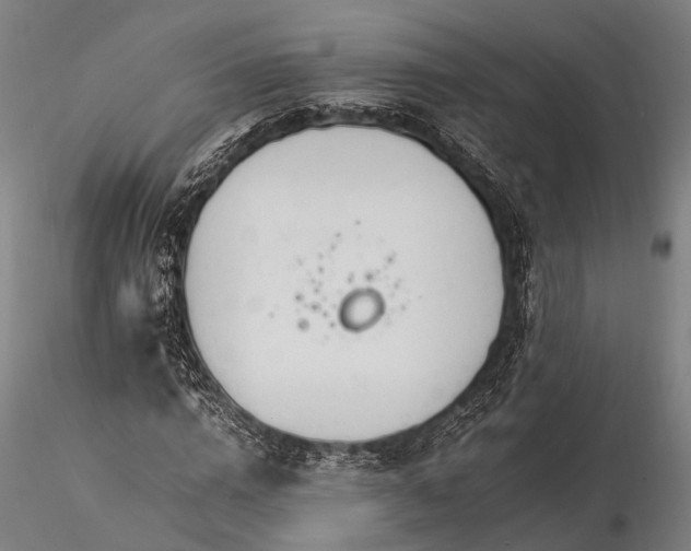X0000116390824200912161522