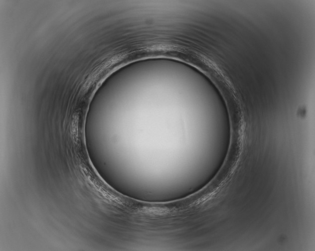 X0000116390825200912161522