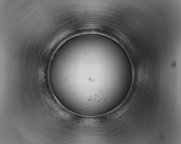 X0000116390826200912161522
