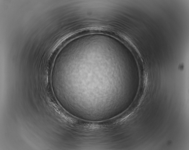 X0000116390829200912161522