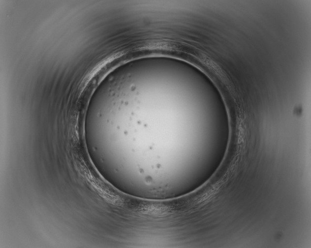 X0000116390830200912161522