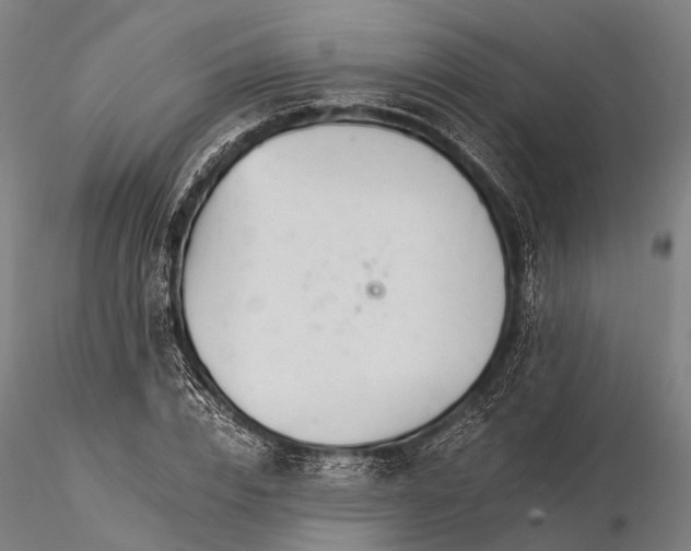 X0000116390832200912161522