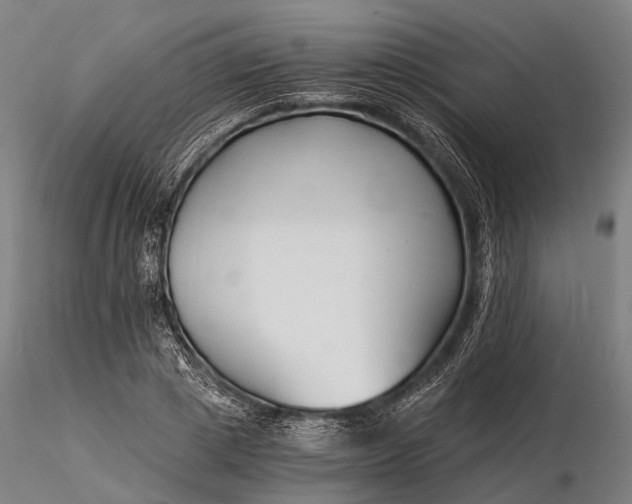 X0000116390833200912161522