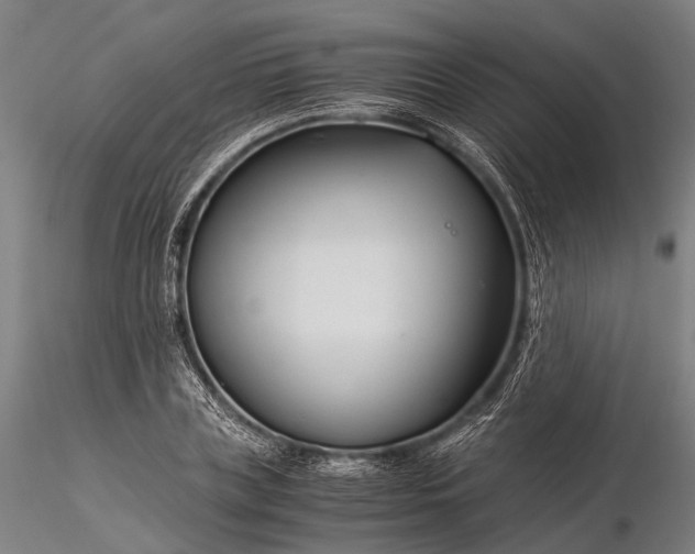 X0000116390835200912161522