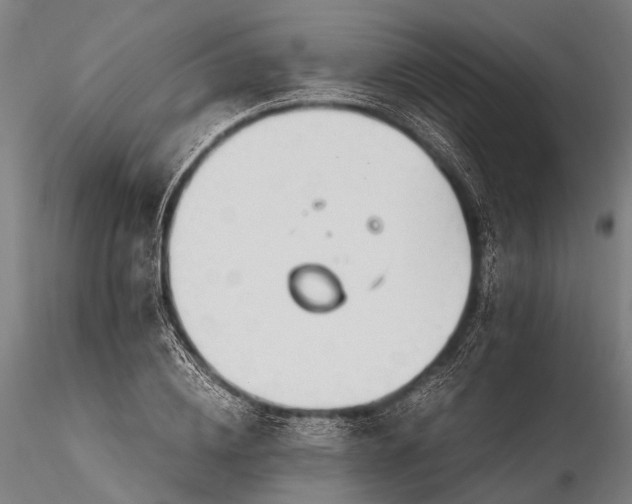 X0000116390836200912161522
