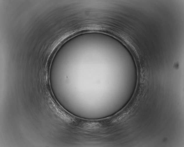 X0000116390837200912161522