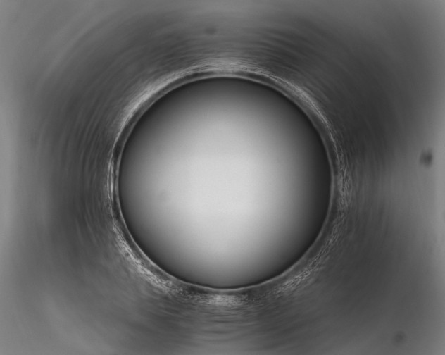 X0000116390839200912161522