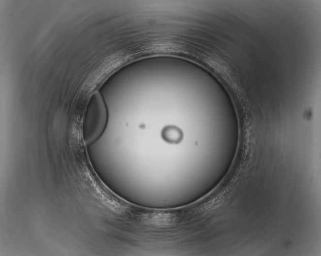 X0000116390841200912161522