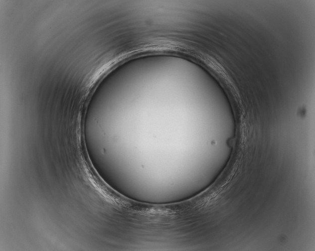 X0000116390842200912161522