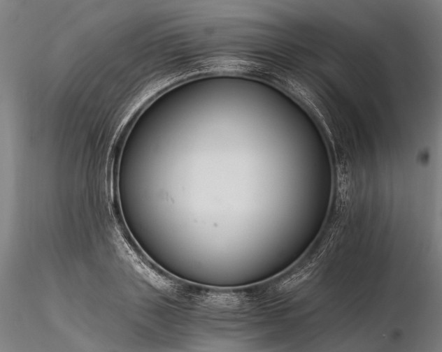 X0000116390843200912161522