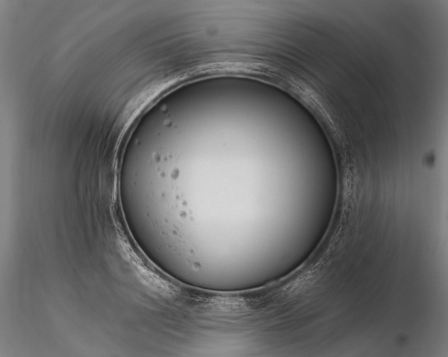 X0000116390844200912161522