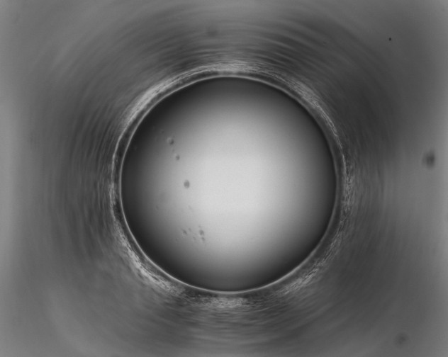 X0000116390845200912161522