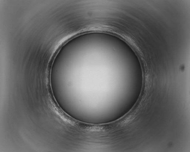 X0000116390846200912161522