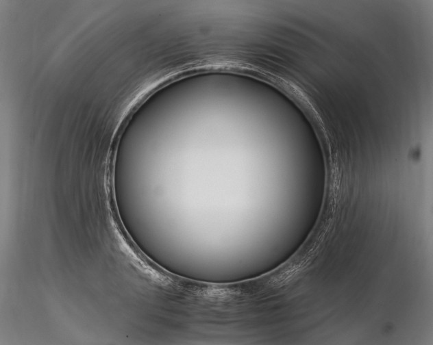 X0000116390847200912161522
