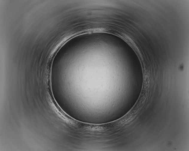 X0000116390851200912161522