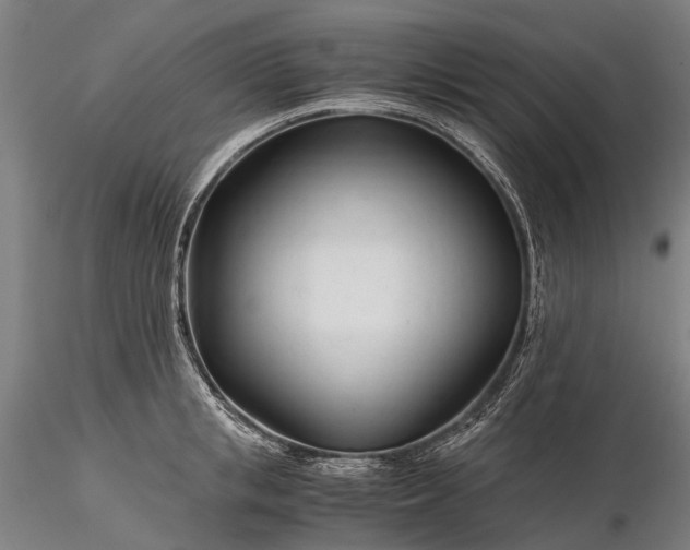 X0000116390853200912161522