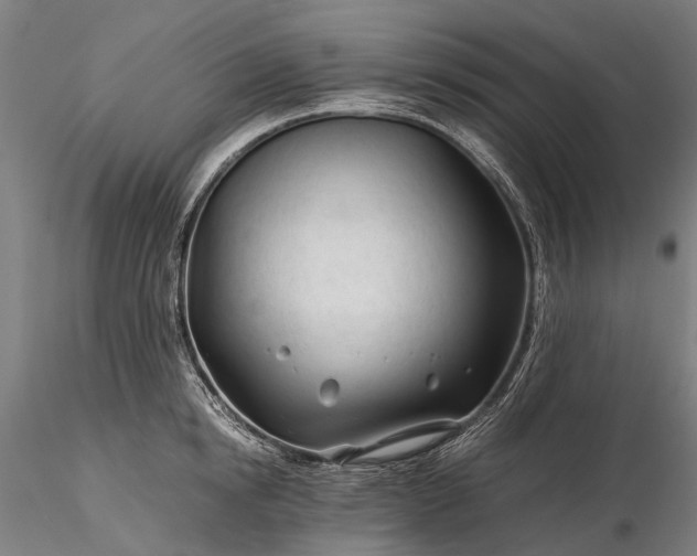 X0000116390854200912161522