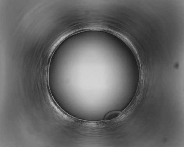 X0000116390855200912161522