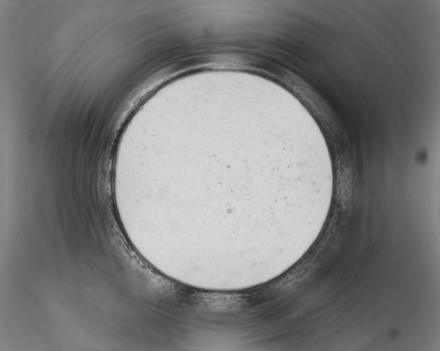 X0000116390856200912161522