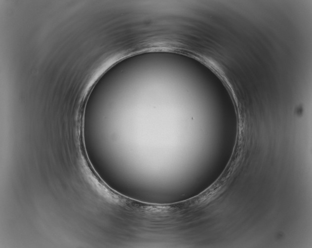 X0000116390859200912161523