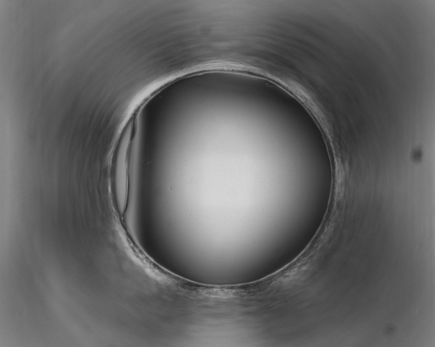 X0000116390862200912161523