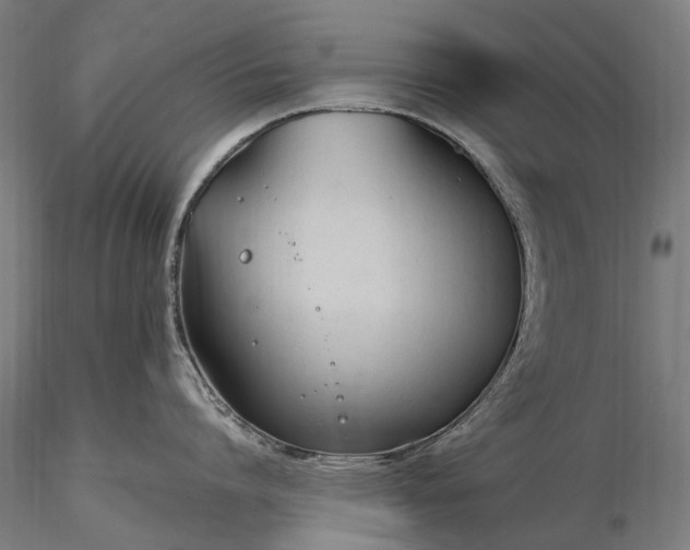 X0000116390864200912161523