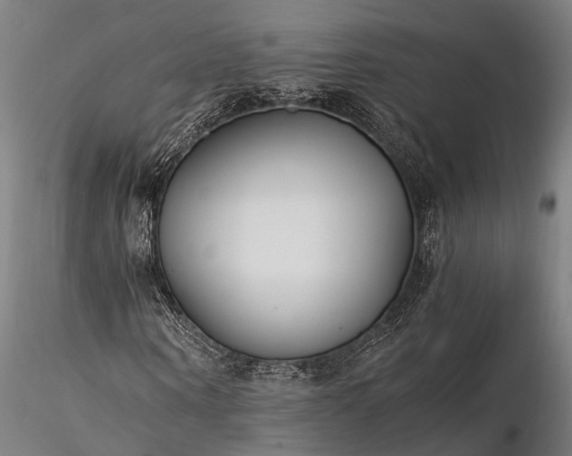 X0000116390866200912161522