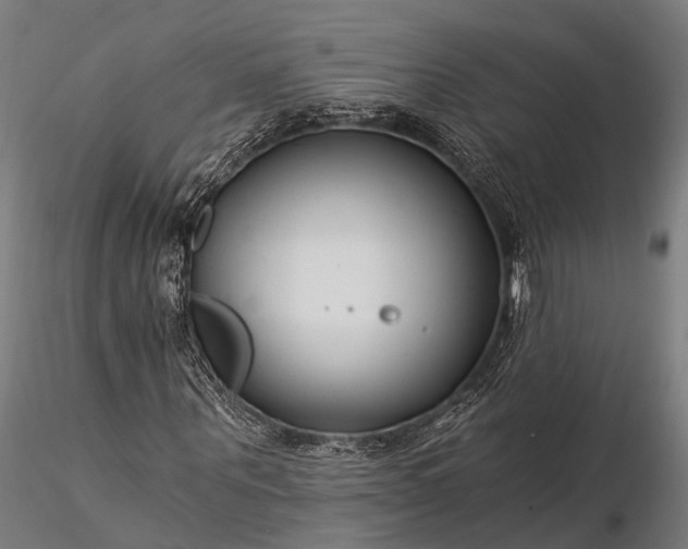 X0000116390867200912161522