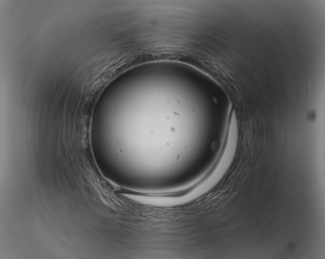 X0000116390868200912161522