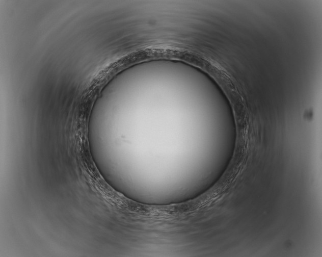 X0000116390870200912161522