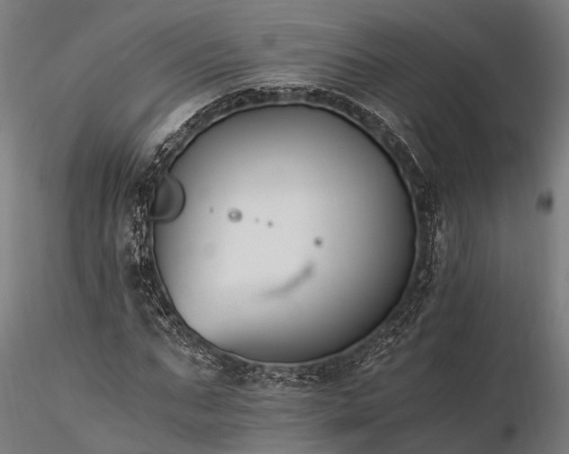 X0000116390871200912161522