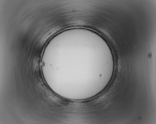 X0000116390873200912161522