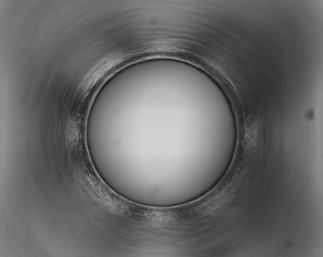 X0000116390874200912161522