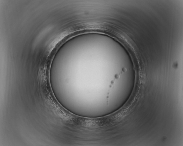 X0000116390875200912161522
