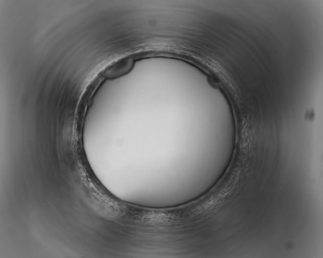 X0000116390880200912161522