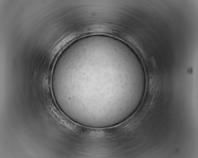 X0000116390882200912161522