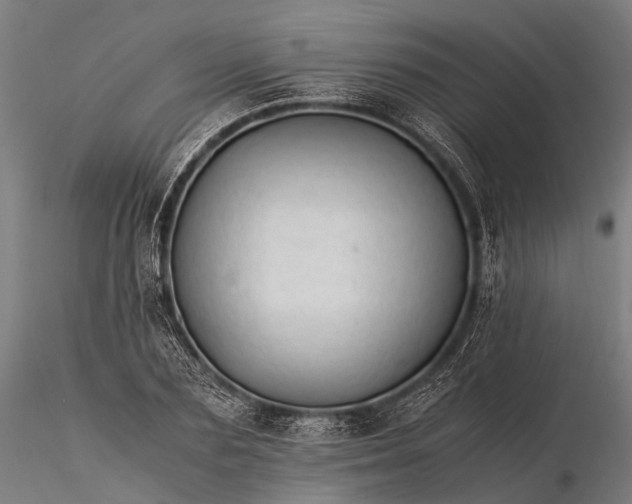 X0000116390883200912161522