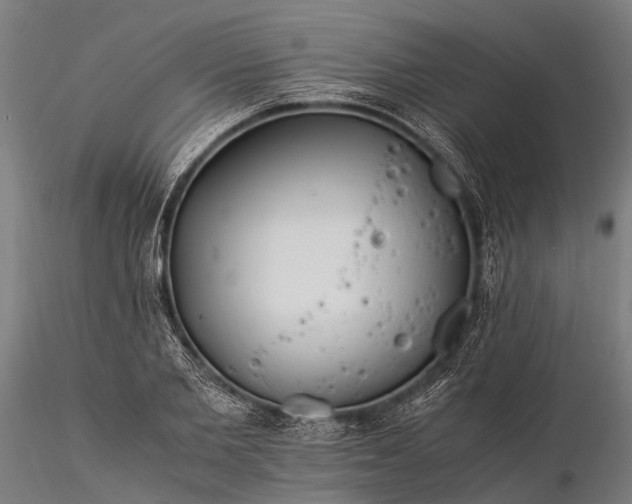 X0000116390885200912161522