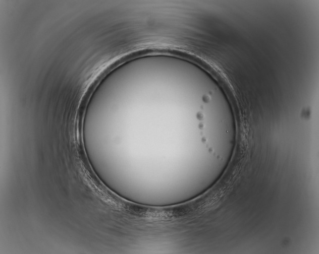 X0000116390887200912161522